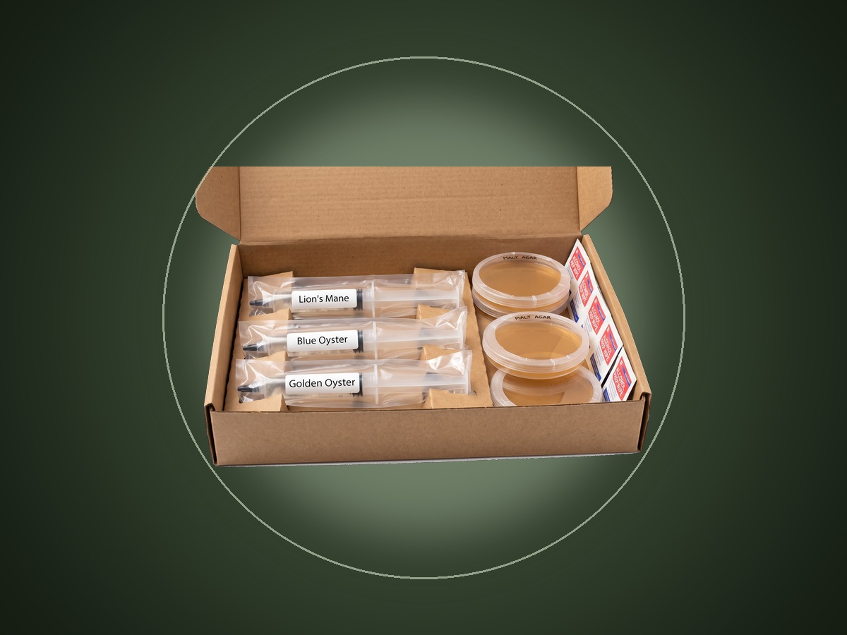 Subscription Boxes: curated monthly mycology unboxing kit with cultures and supplies