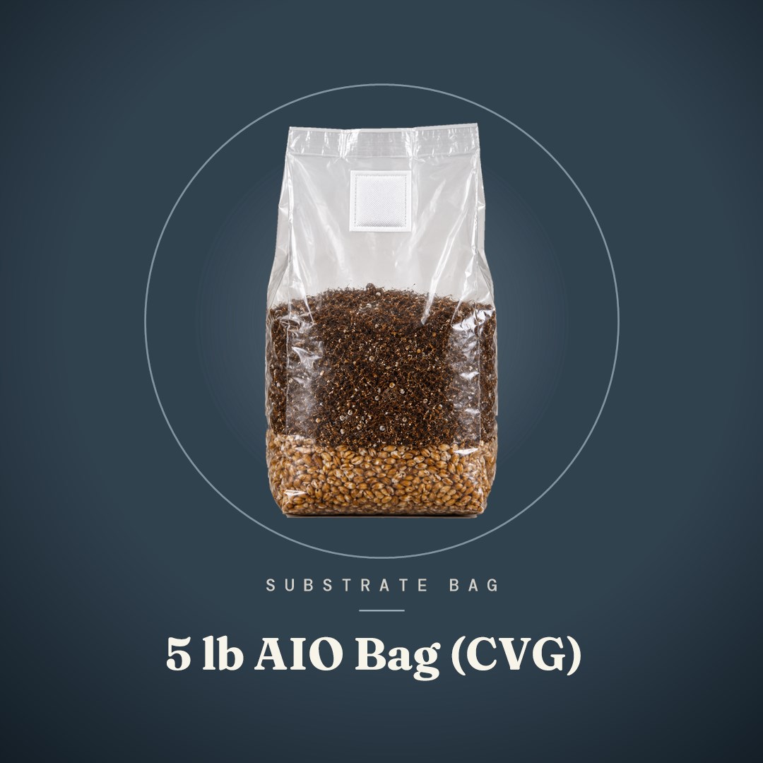 5 lb All-In-One (AIO) Bag (CVG)