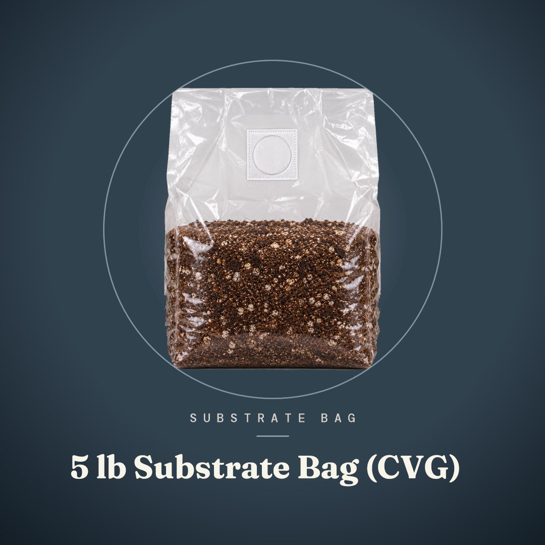 5 lb Substrate Bag (CVG)